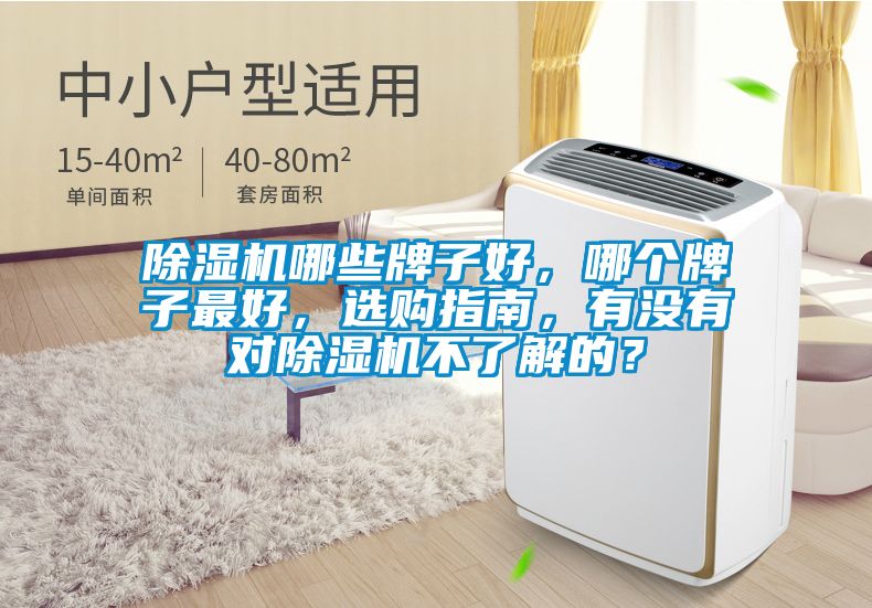 除濕機哪些牌子好，哪個牌子最好<div   id=