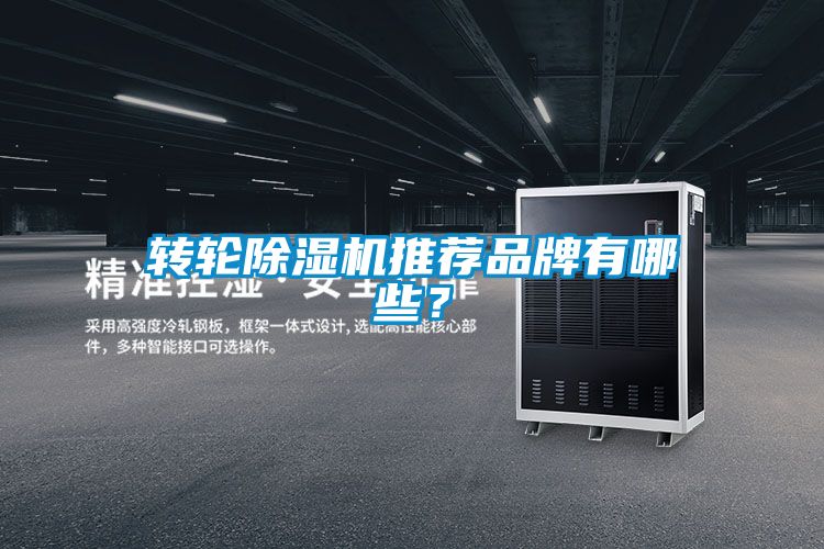 轉(zhuǎn)輪除濕機(jī)推薦品牌有哪些<div   id=