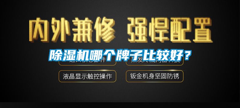 除濕機(jī)哪個(gè)牌子比較好<div   id=