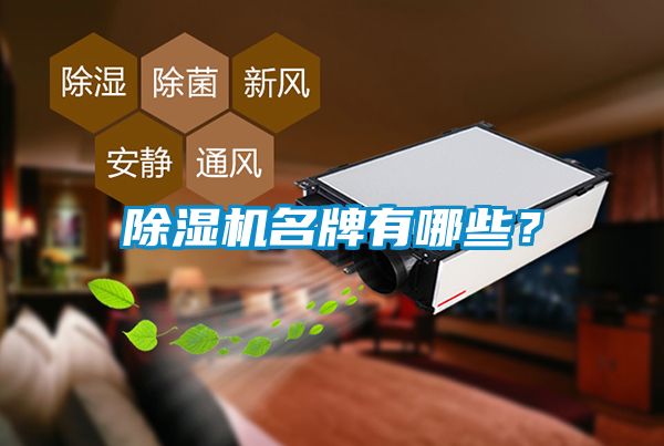 除濕機名牌有哪些<div   id=