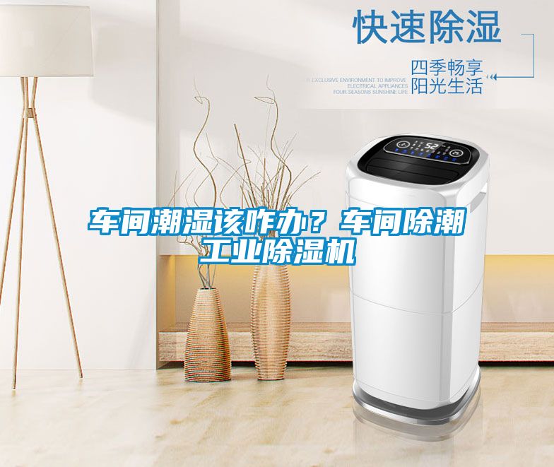 車間潮濕該咋辦<div   id=