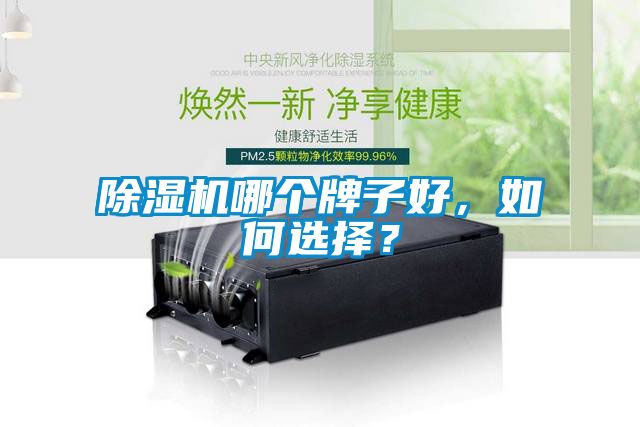 除濕機哪個牌子好<div   id=