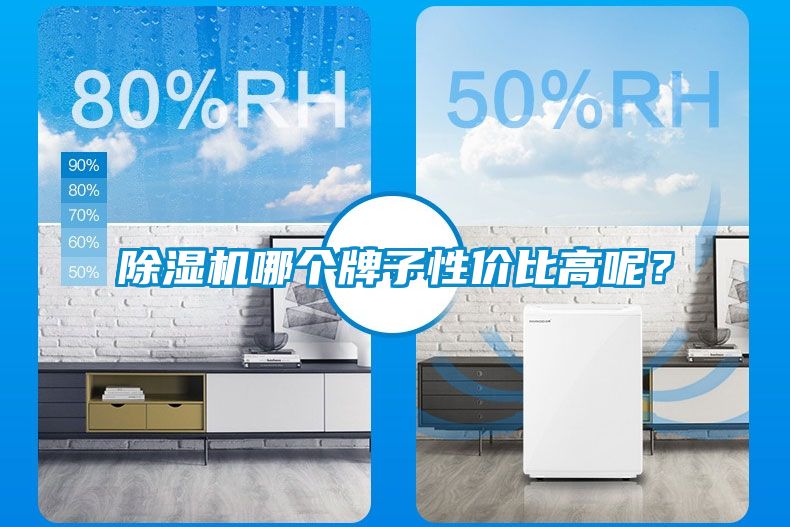 除濕機(jī)哪個牌子性價比高呢<div   id=