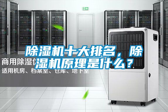 除濕機(jī)十大排名<div   id=