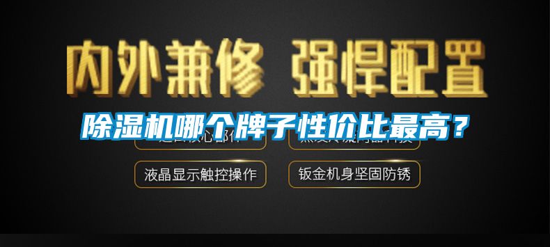 除濕機(jī)哪個牌子性價比最高<div   id=