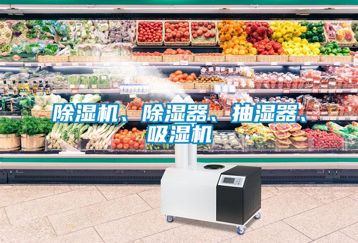 除濕機(jī)<div   id=