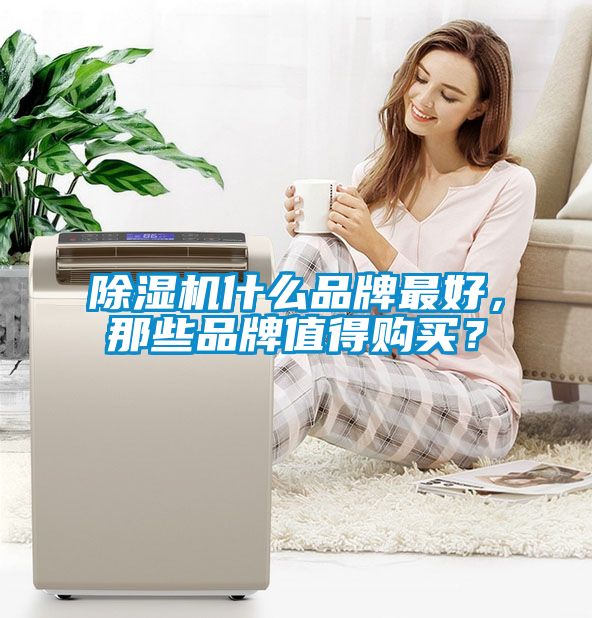 除濕機(jī)什么品牌最好<div   id=
