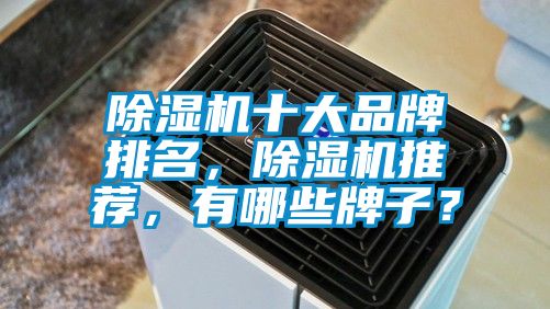 除濕機十大品牌排名<div   id=