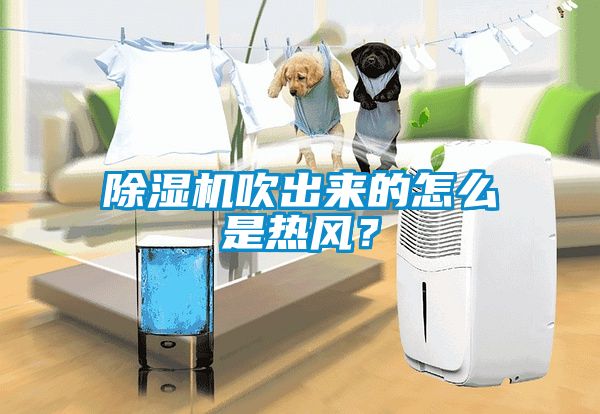 除濕機(jī)吹出來(lái)的怎么是熱風(fēng)<div   id=