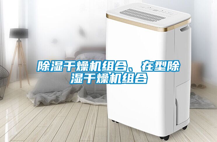 除濕干燥機(jī)組合<div   id=