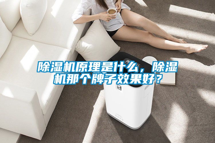 除濕機原理是什么<div   id=