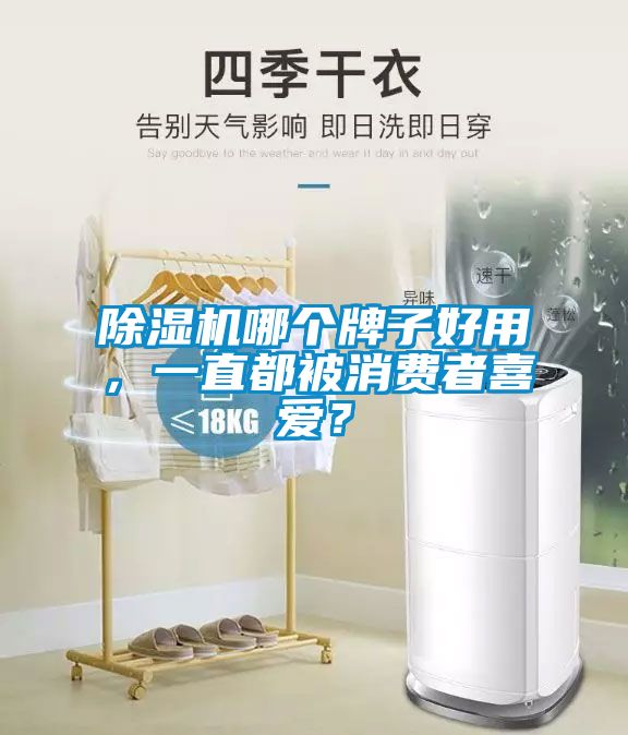 除濕機(jī)哪個(gè)牌子好用<div   id=