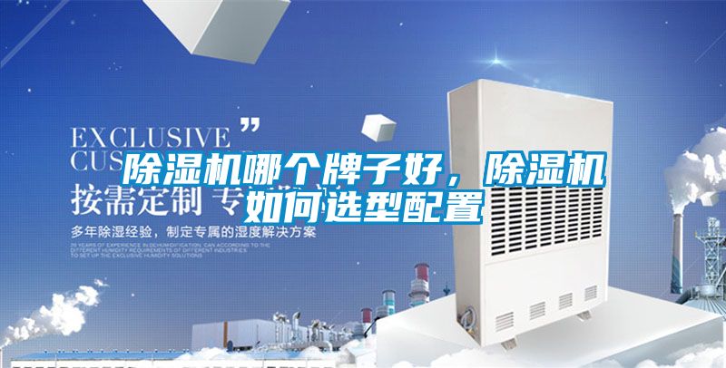 除濕機哪個牌子好<div   id=