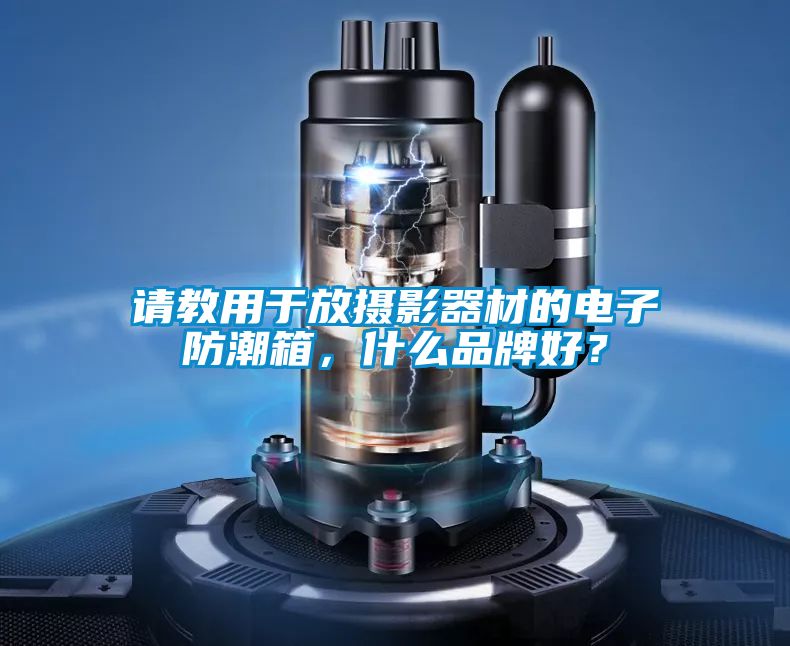 請教用于放攝影器材的電子防潮箱<div   id=