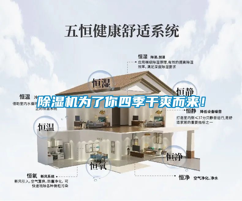 除濕機為了你四季干爽而來<div   id=