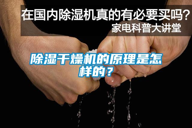 除濕干燥機(jī)的原理是怎樣的<div   id=