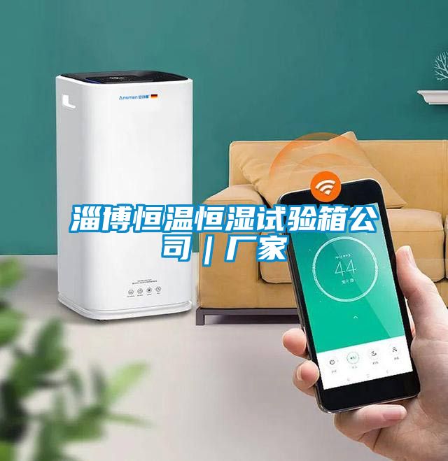 淄博恒溫恒濕試驗(yàn)箱公司|廠家