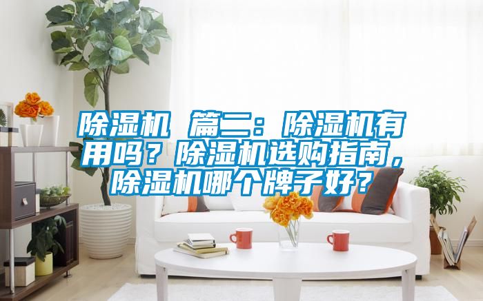 除濕機 篇二：除濕機有用嗎<div   id=