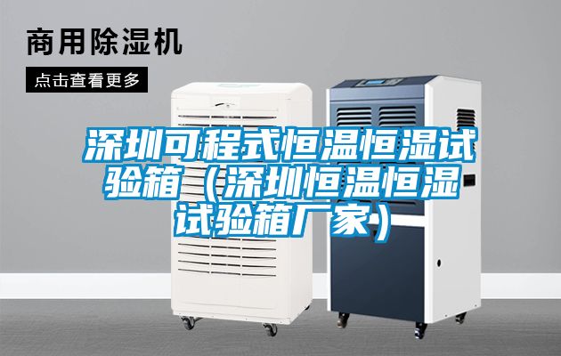 深圳可程式恒溫恒濕試驗箱(深圳恒溫恒濕試驗箱廠家)