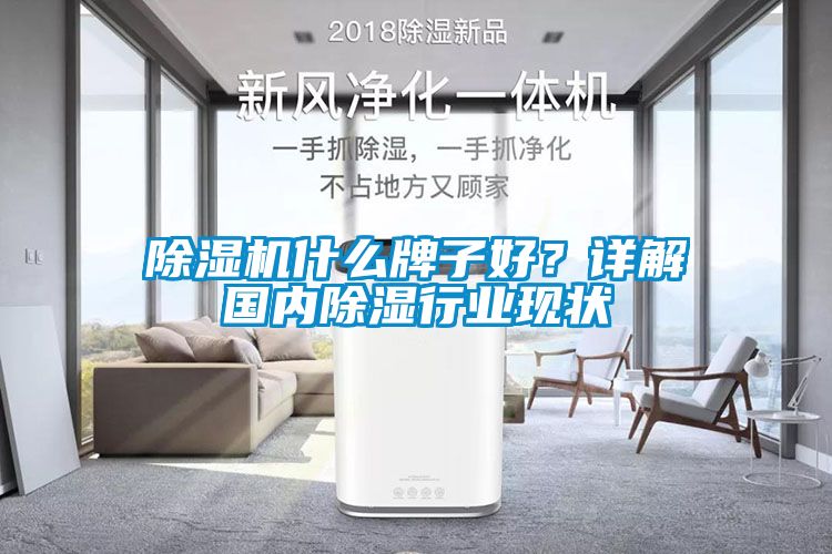 除濕機什么牌子好?詳解國內除濕行業(yè)現狀