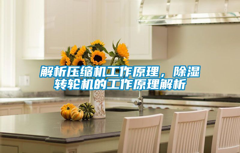 解析壓縮機(jī)工作原理<div   id=