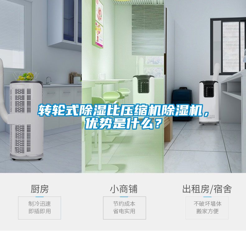 轉輪式除濕比壓縮機除濕機<div   id=