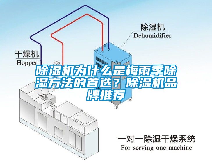 除濕機為什么是梅雨季除濕方法的首選?除濕機品牌推薦