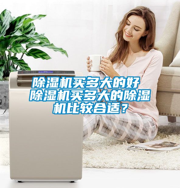 除濕機(jī)買多大的好 除濕機(jī)買多大的除濕機(jī)比較合適<div   id=