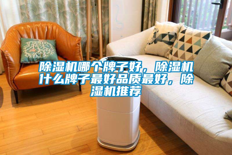 除濕機哪個牌子好<div   id=
