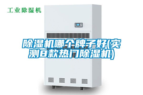 除濕機(jī)哪個牌子好(實(shí)測8款熱門除濕機(jī))