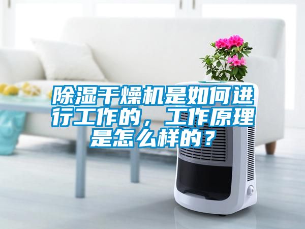 除濕干燥機(jī)是如何進(jìn)行工作的<div   id=