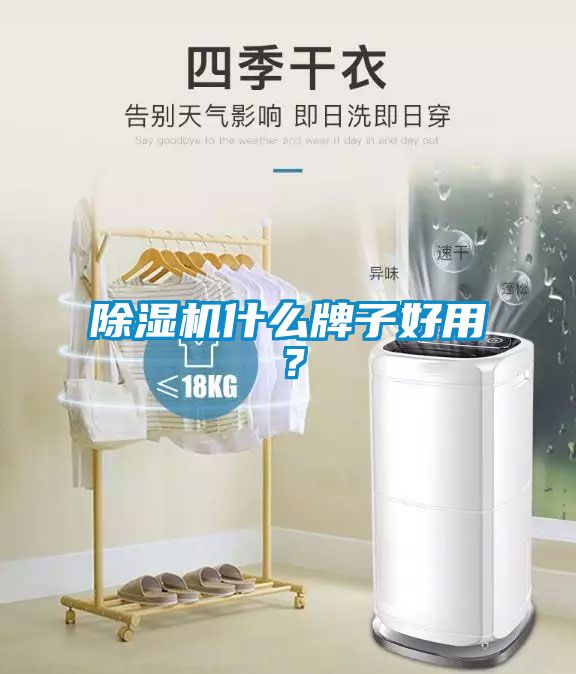 除濕機(jī)什么牌子好用<div   id=