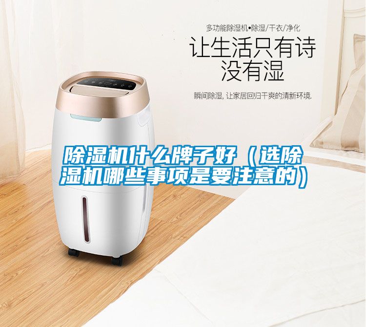 除濕機(jī)什么牌子好(選除濕機(jī)哪些事項(xiàng)是要注意的)