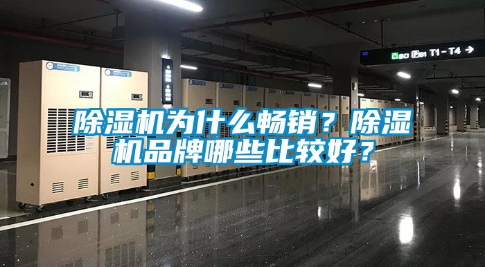 除濕機(jī)為什么暢銷(xiāo)<div   id=