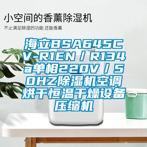 海立BSA645CV-R1EN/R134a單相220V/50HZ除濕機(jī)空調(diào)烘干恒溫干燥設(shè)備壓縮機(jī)
