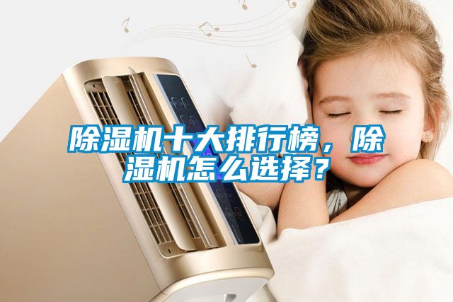 除濕機(jī)十大排行榜，除濕機(jī)怎么選擇<div   id=