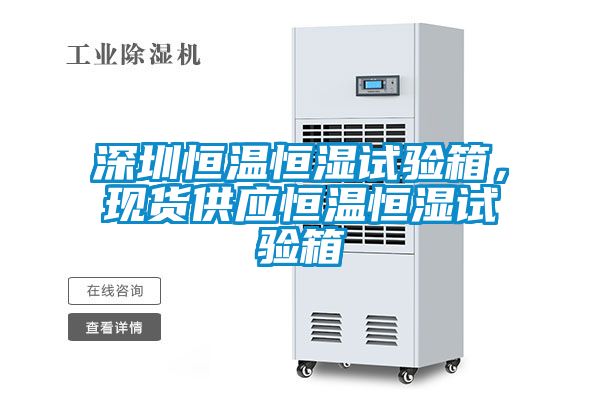 深圳恒溫恒濕試驗箱<div   id=