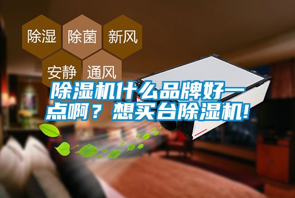 除濕機(jī)什么品牌好一點(diǎn)?div   id=