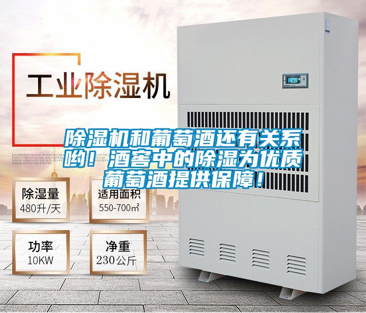 除濕機和葡萄酒還有關(guān)系喲<div   id=