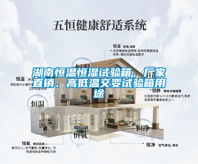 湖南恒溫恒濕試驗(yàn)箱<div   id=