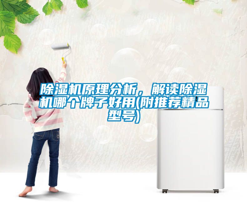 除濕機(jī)原理分析,解讀除濕機(jī)哪個(gè)牌子好用(附推薦精品型號(hào))