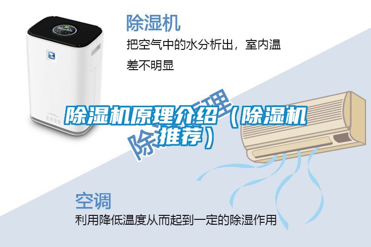 除濕機原理介紹(除濕機推薦)
