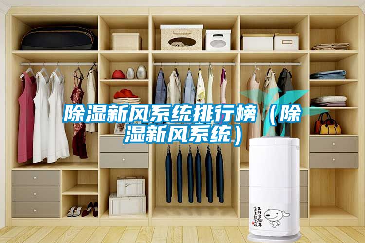 除濕新風(fēng)系統(tǒng)排行榜(除濕新風(fēng)系統(tǒng))