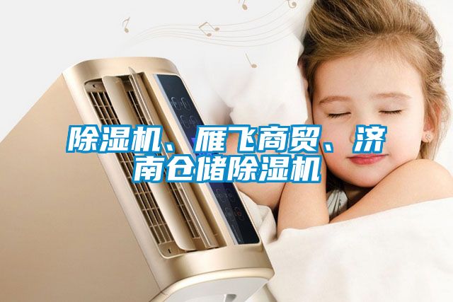 除濕機(jī)、雁飛商貿(mào)<div   id=