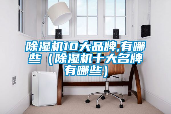 除濕機(jī)10大品牌,有哪些(除濕機(jī)十大名牌有哪些)