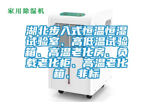 湖北步入式恒溫恒濕試驗室<div   id=