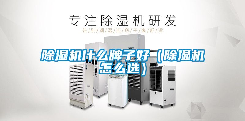 除濕機(jī)什么牌子好(除濕機(jī)怎么選)