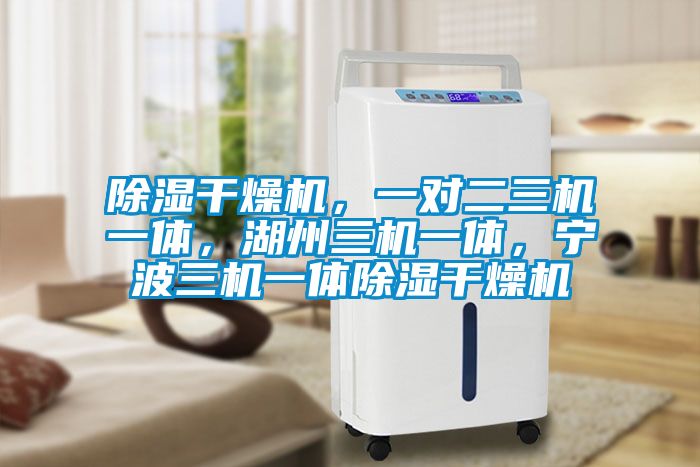 除濕干燥機(jī)<div   id=
