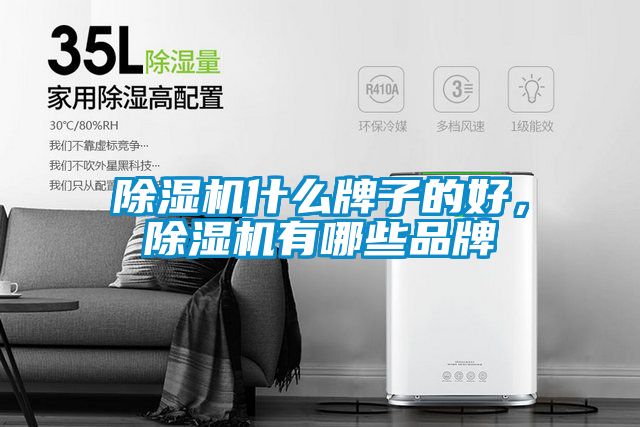 除濕機什么牌子的好<div   id=