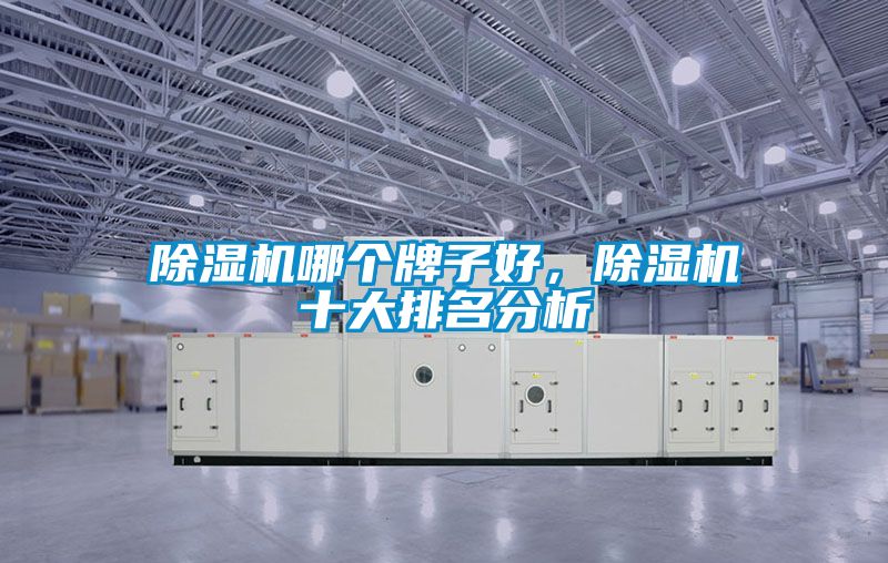 除濕機哪個牌子好<div   id=